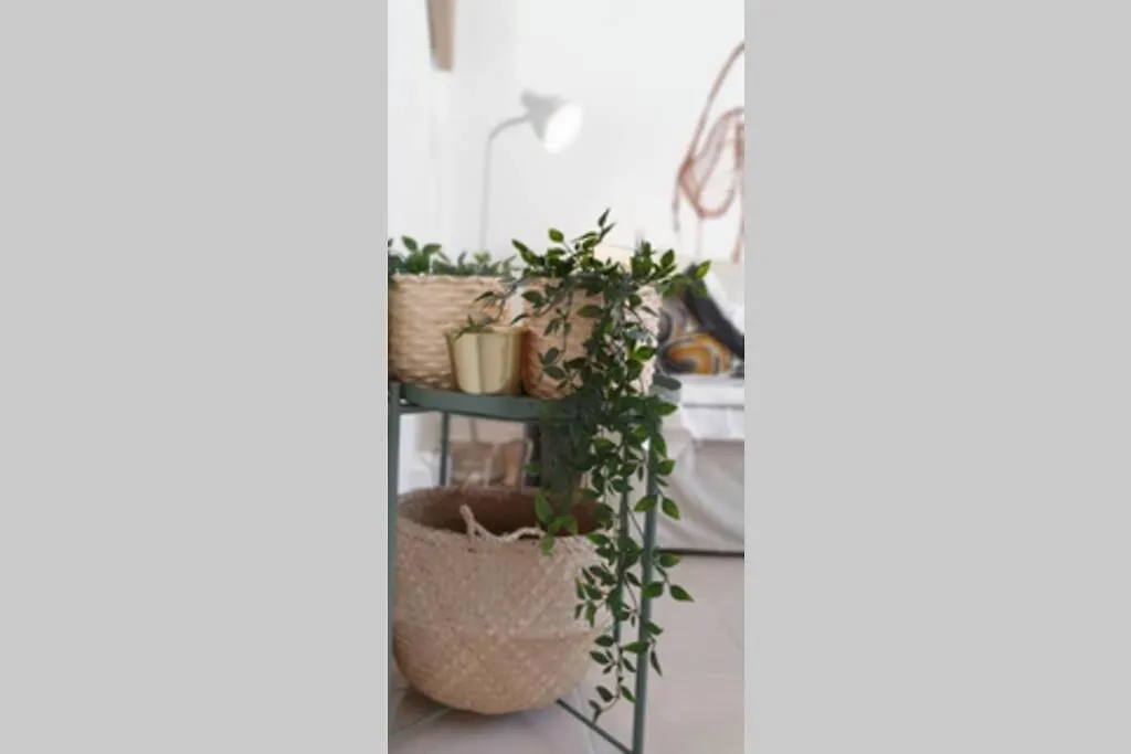 Apartamento suite San Roque. Street Lecha Marzo. Sevilla